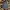 Saintpaint UrbanGarment Korean Brand Checked Plaid Casual Fl