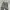Lexpin Camo Loose Cargopants photo 4