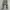 Lexpin Camo Loose Cargopants photo 3
