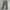 Lexpin Camo Loose Cargopants