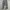 Lexpin Camo Loose Cargopants photo 1