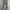 Twenty Camo Loose Cargopants photo 1