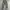 Twenty Camo Loose Cargopants photo 3