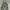 Twenty Camo Loose Cargopants photo 5