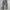 Sunraise Camo Loose Cargopants photo 3
