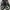 Dr. Martens X Beetlejuice 1416 WB Black Leather Shoes 
