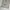 Dockers Longpants Kakhi Baggy photo 6