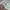 Dockers Longpants Kakhi Baggy photo 8