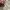 Wallpaper art graphic longsleeve mesh vintage photo 6