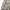Wallpaper art graphic longsleeve mesh vintage photo 3