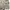 Wallpaper art graphic longsleeve mesh vintage photo 4