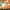 💰 KIPER4D – TEMPATNYA CUAN ASLI! 💰 photo 1