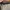 Gucci GG Canvas Small Shoulder Bag  photo 5