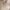 Long Blazer Cream Premium photo 1