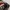 Trackpanst Adidas Climalite  photo 3