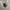 Trackpanst Adidas Climalite  photo 1