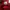 Onitsuka Tiger Paraty slip on red photo 5