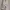 Sportswear Track jacket Pria khaki photo 4
