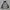 Outdoor Producks Puffer Jacket photo 7