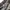  Vintage Alpine Wool Pleated Skirt photo 4