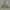 Fieldcore Mountain Parka Jacket photo 2
