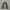 Fieldcore Mountain Parka Jacket photo 8