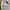 Flatshoes photo 4