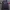 Adidas Trifoil Fullblack Three Stripes photo 1