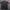 Adidas Trifoil Fullblack Three Stripes photo 3