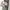 vivienne westwood blouse | kemeja authentic classic woman photo 3