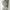 vivienne westwood blouse | kemeja authentic classic woman photo 4