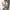 vivienne westwood blouse | kemeja authentic classic woman photo 2