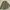 ZADIG & VOLTAIRE M65 TOASTMILITARY NYLON JACKET photo 4