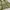 ZADIG & VOLTAIRE M65 TOASTMILITARY NYLON JACKET photo 6