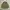 ZADIG & VOLTAIRE M65 TOASTMILITARY NYLON JACKET photo 1
