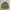 ZADIG & VOLTAIRE M65 TOASTMILITARY NYLON JACKET