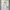 Zara Man White Ripped Skinny Jeans photo 1
