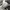 PHILIPP PLEIN HEXAGON LOW TOP SNEAKERS , PHILIPP PLEIN HEXAG photo 9