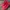 Nike VAPORFLY 3 photo 4