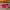 Nike VAPORFLY 3 photo 1