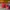 Nike VAPORFLY 3 photo 3