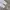 Crewneck midweight Washed Sony Lebel photo 5