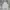 Crewneck midweight Washed Sony Lebel photo 1