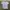 Have A Kavu Day Adventure White Tshirt photo 3