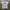 Have A Kavu Day Adventure White Tshirt photo 1