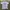 Have A Kavu Day Adventure White Tshirt
