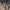 suspicious minds (stranger things novel) photo 3