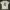 Kaos T Shirt Art Graphic Tee by Milani photo 2