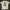 Kaos T Shirt Art Graphic Tee By Milani