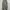 GU parachute cargo pant photo 1